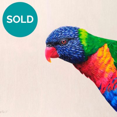 Rainbow Lorikeet, Original Artwork