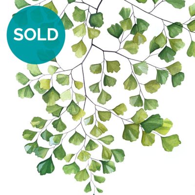 Maidenhair Fern Original Painting