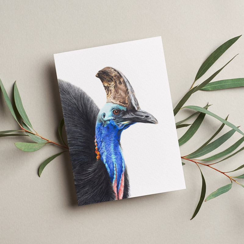 Australian Wildlife Greeting card Cassowary Greeting Card