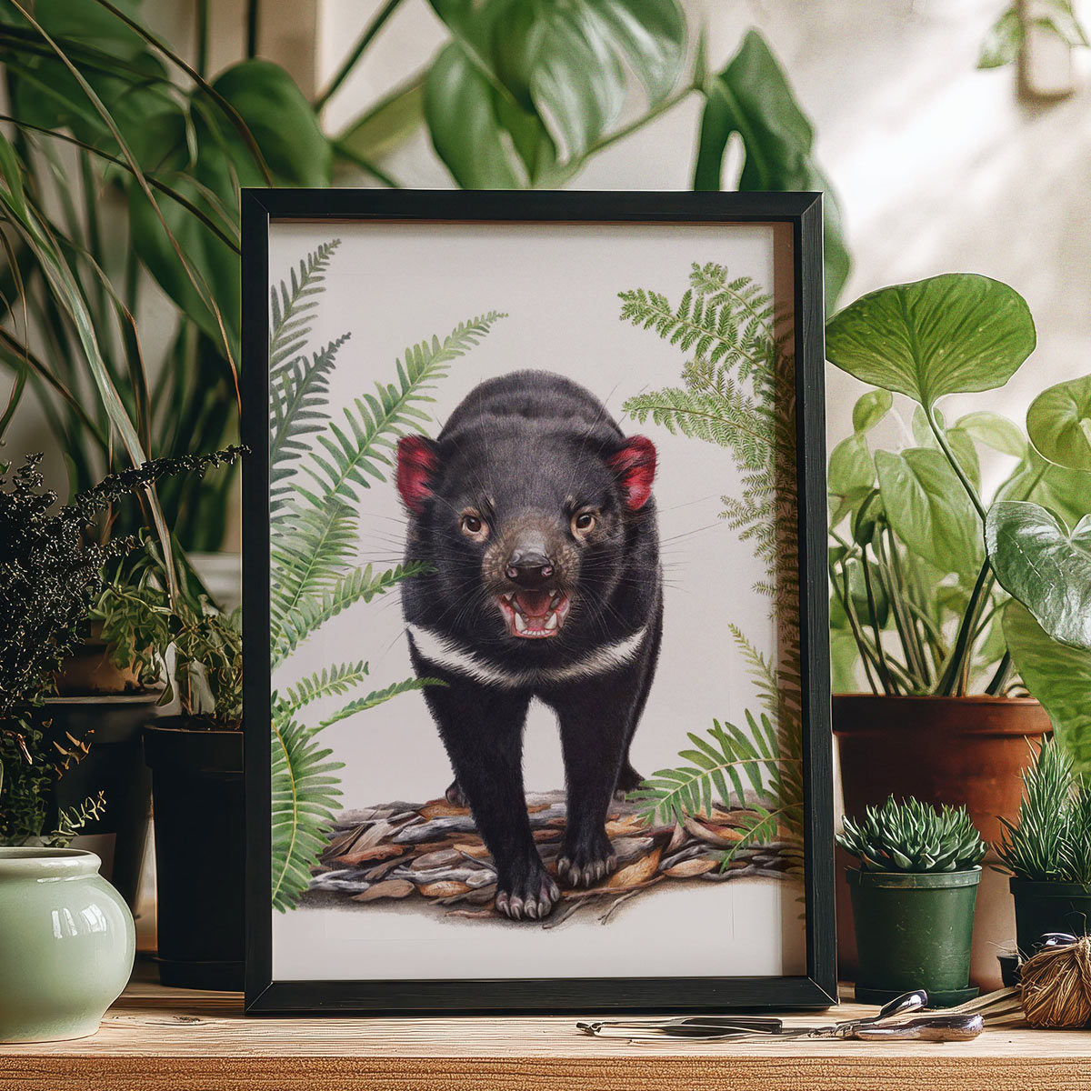 Tasmanian Devil Art Print Fine Art Print - Yellow-faced Honeyeater