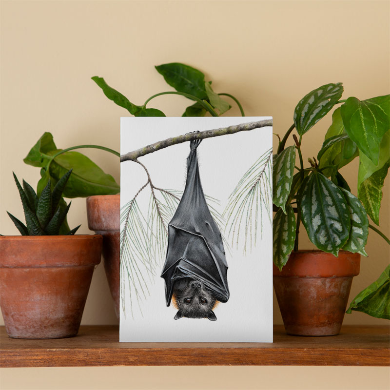 Flying Fox Greeting Card Yellow-faced Honeyeater Card