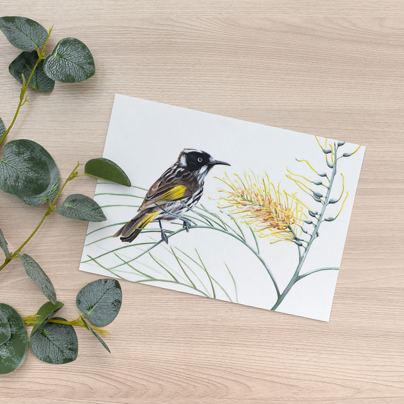 Australian Bird Greeting Card New Holland Honeyeater greeting card