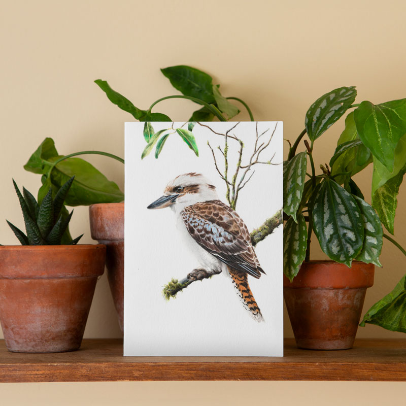 Kookaburra Greeting Card Kookaburra Greeting Card