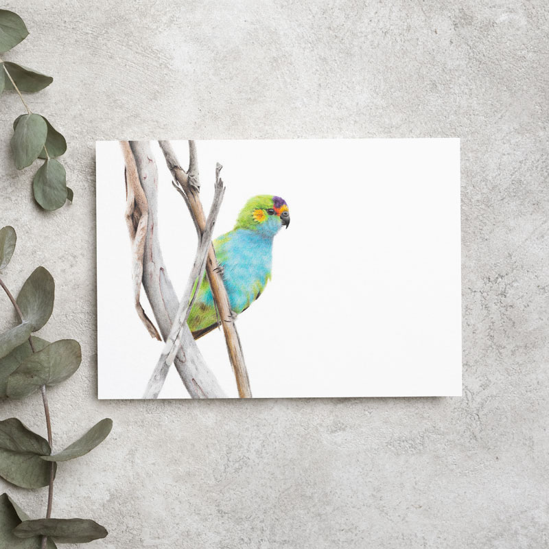 Purple-crowned Lorikeet greeting card Purple-crowned Lorikeet Greeting Card