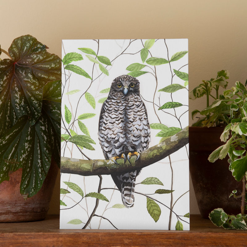 Powerful Owl Greeting Card Powerful Owl Greeting Card
