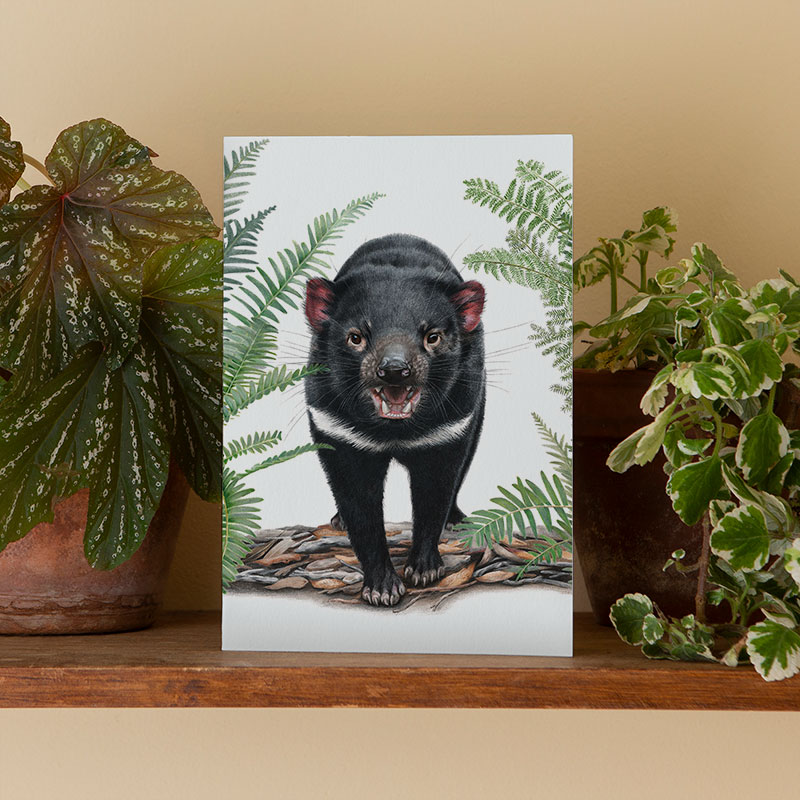 Tasmanian Devil Greeting Card Yellow-faced Honeyeater Card
